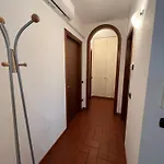 House 노알레