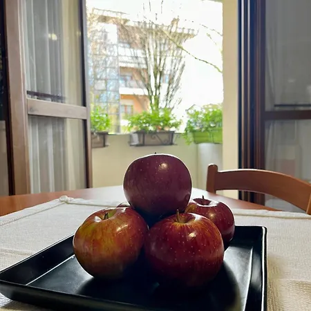 House Apartment Noale