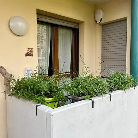 House *